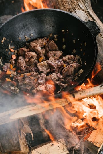 Campfire Sirloin Tips with Onions and Carrots