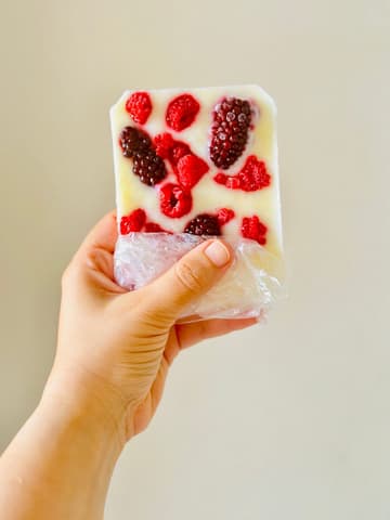 Berry Frozen Yogurt Bark Bars